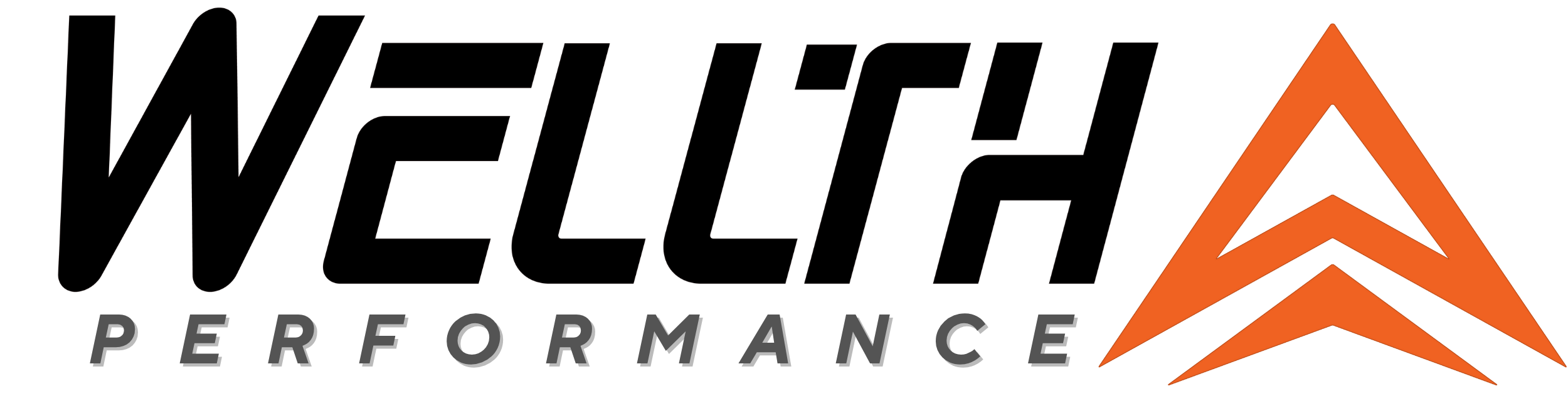 Wellth Performance